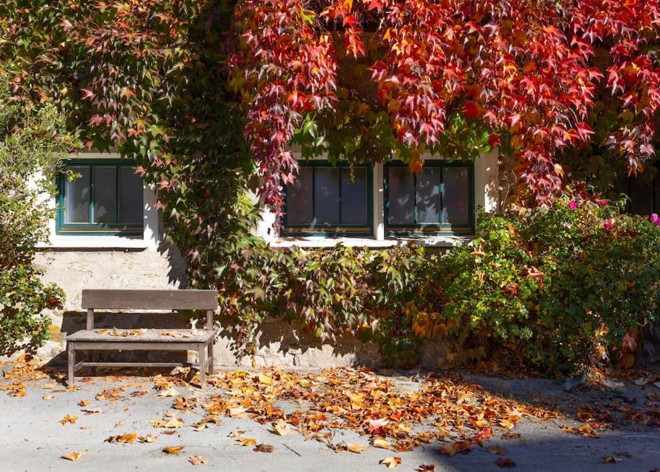 Apartment Charlotte - Feistritz An Der Drau 외부 사진